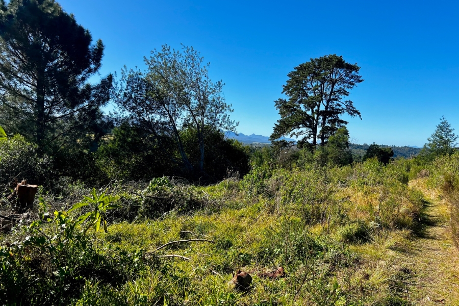  Bedroom Property for Sale in Wilderness Heights Western Cape